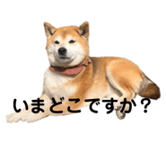 508718840