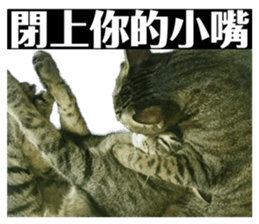 508753830