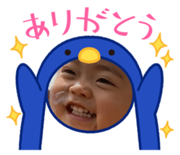 508780032
