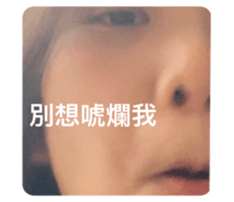 508791394