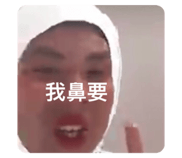 508791407