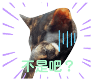 508791825