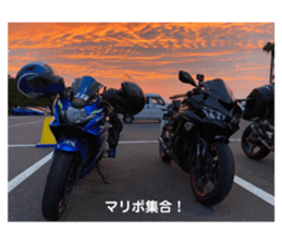 508805652