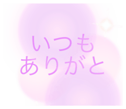 508808036
