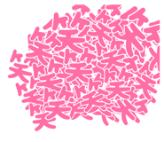 508808790