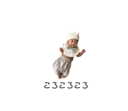 508811883