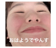 508815598