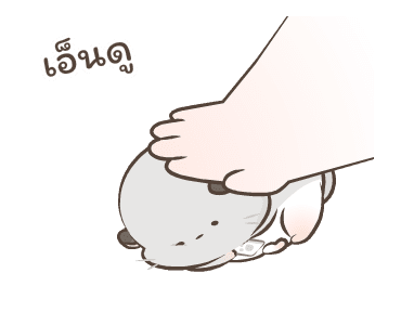 Simao & Bamao ชินชิลลานุ่มนิ่ม 10 รูปที่ 10