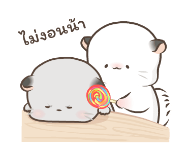 Simao & Bamao ชินชิลลานุ่มนิ่ม 10 รูปที่ 19