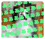 508862368