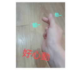 508863578