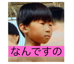 508872644