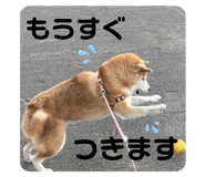 508873590