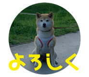 508873591