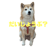 508873603