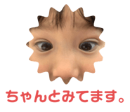 508882233