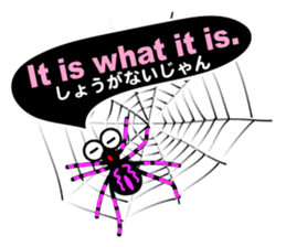 5089425