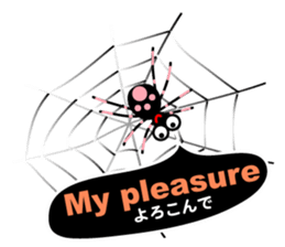 5089429