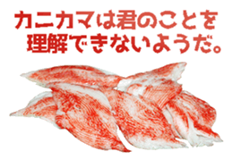508976033