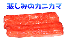 508976035
