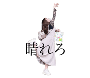 509018494