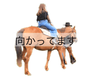 509018503