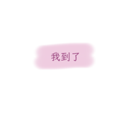 509026193