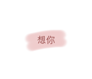 509026206