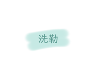 509026219