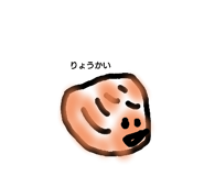 509037557