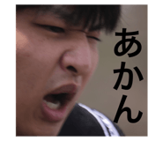 509062581