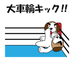 509063099