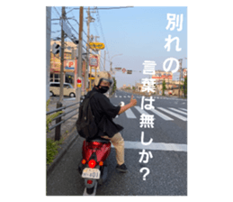 509066728