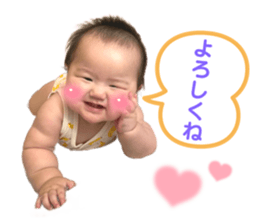 509069946