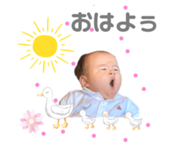 509069948