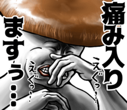 509098853