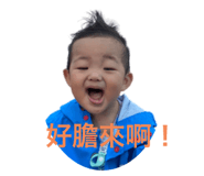 509104558