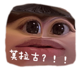 509118246