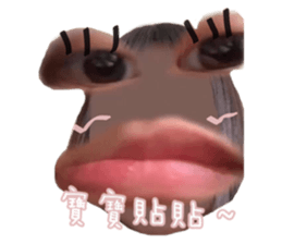 509118247