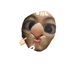 509118256