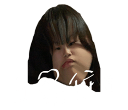 509118260