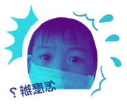 509119031