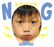 509119036
