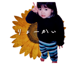 509127872