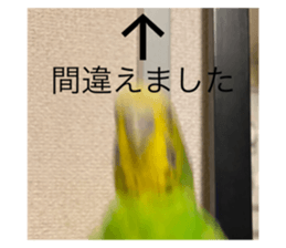 509170496