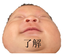 509185230