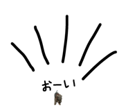 50920145
