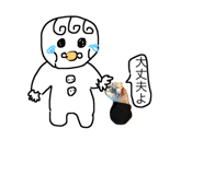 50920146