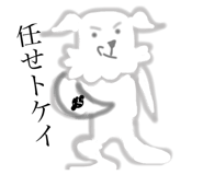 50920151