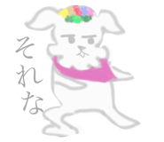 50920156
